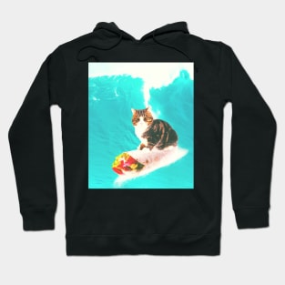 Kitty Cat Surfing Burrito Hoodie